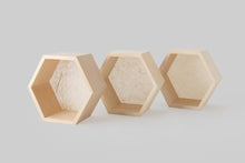 画像をギャラリービューアに読み込む, トコノマハニカム