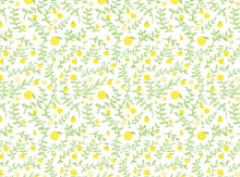 画像をギャラリービューアに読み込む, 花みかん(hanamikan) ふすま紙