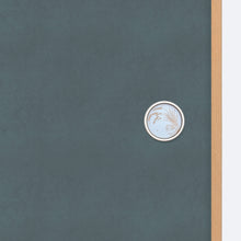 画像をギャラリービューアに読み込む, 稲穂そよぐ柄のシルバー枠華引手を無地のふすまに取り付けた商品画像。引き手デザインのディテールが分かる写真。
